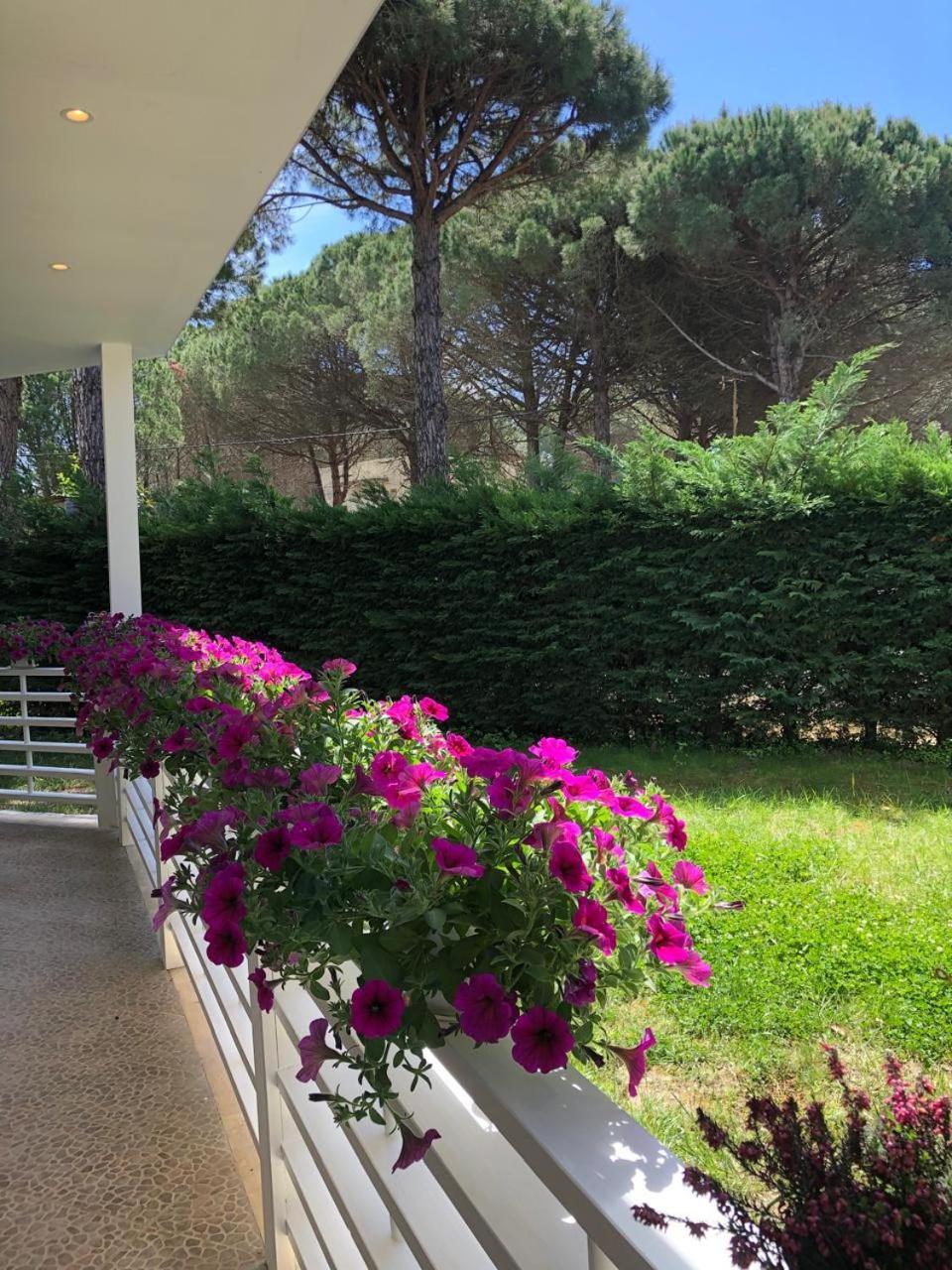 Pines House Durrës