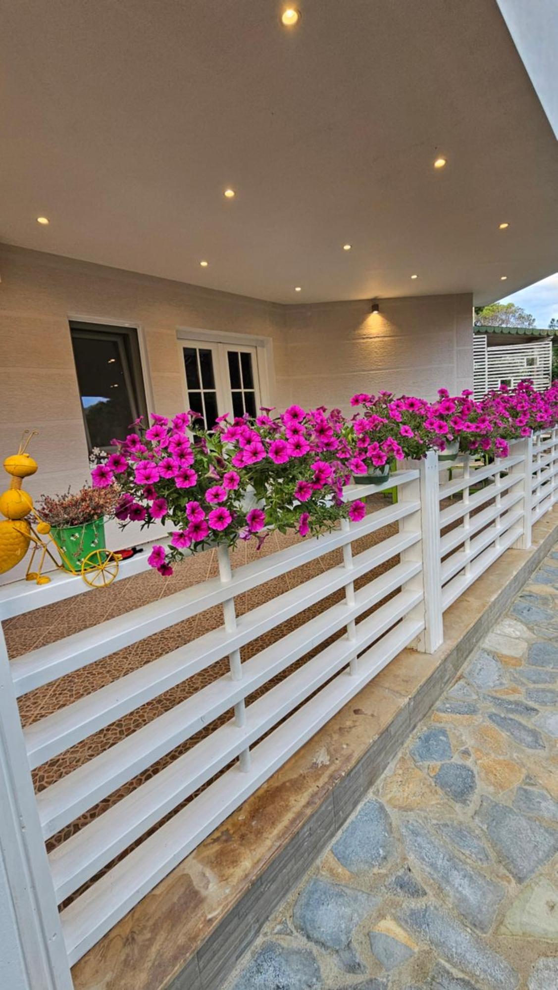 Pines House *